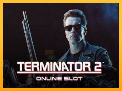 Terminator 2 gaming machine for money