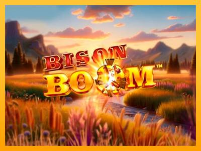 Bison Boom gaming machine for money