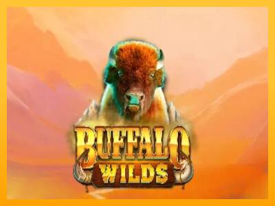 Buffalo Wilds gaming machine for money