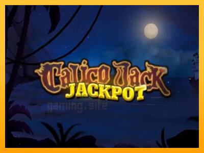 Calico Jack Jackpot gaming machine for money