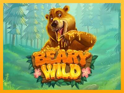 Beary Wild gaming machine for money