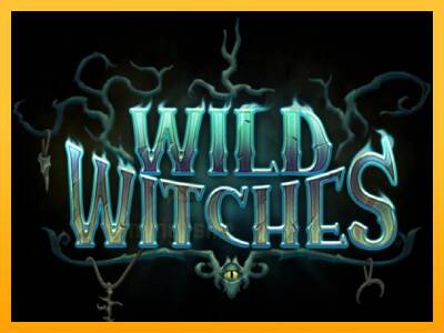 Wild Witches gaming machine for money