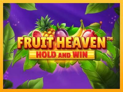 Fruit Heaven Hold and Win gaming machine for money