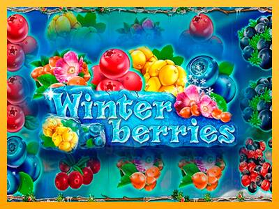 Winterberries gaming machine for money