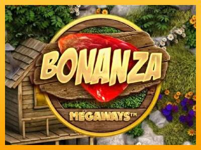 Bonanza gaming machine for money