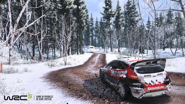 WRC 5 image 8