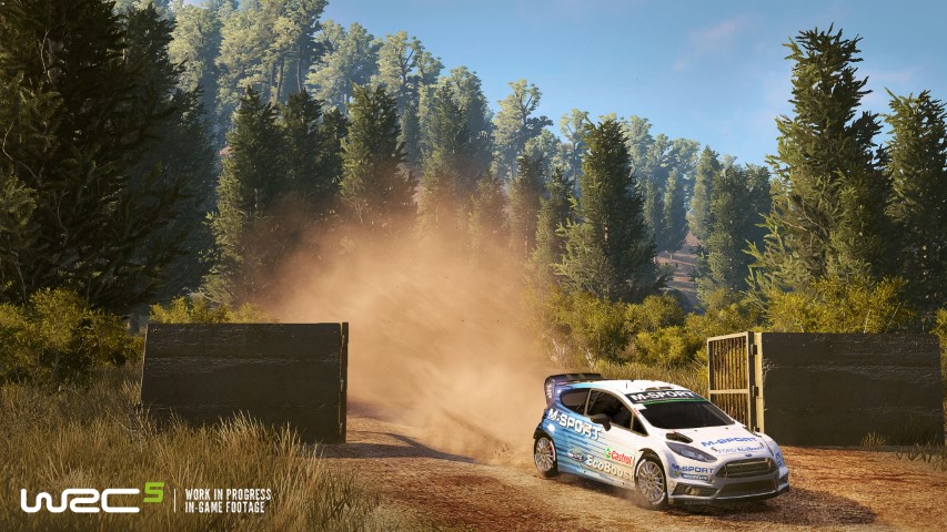 WRC 5 image 9