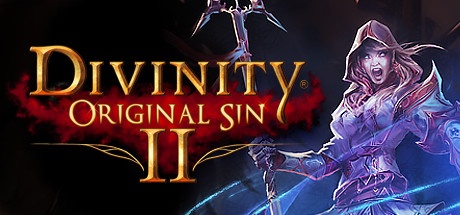 Divinity Original Sin 2 PC Download Free