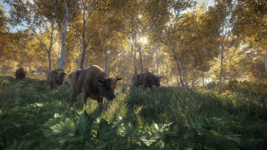 theHunter Call of the Wild image 3