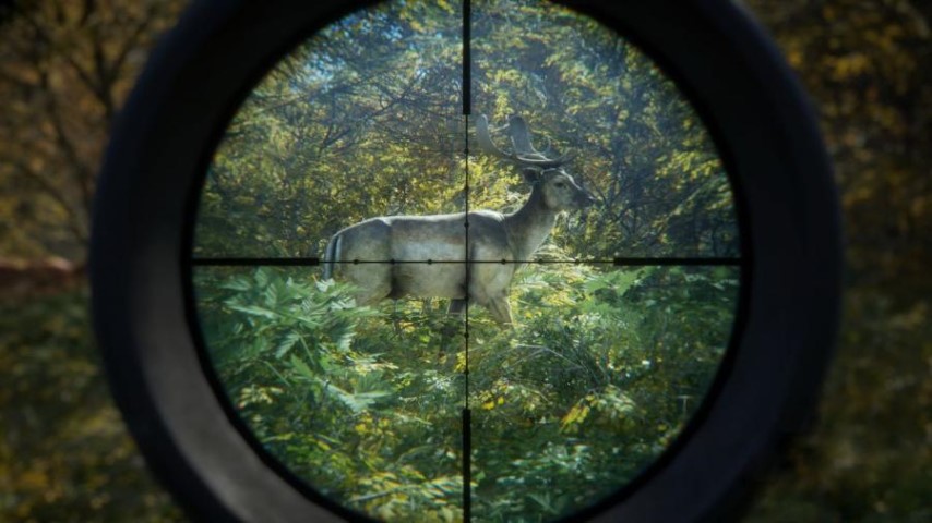 theHunter Call of the Wild image 4
