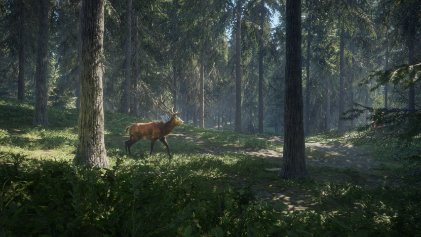 theHunter Call of the Wild image 5