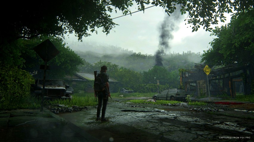 The Last of Us part II image 2