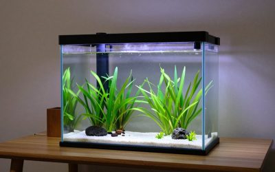 7 Best Fish Tank PC Cases (October 2026)